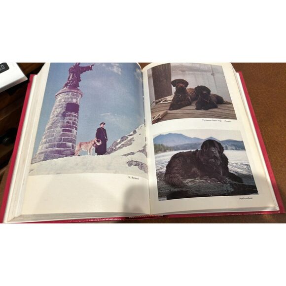 American Kennel Club  The Complete Dog Book 17th  Edition - Picture 3 of 5